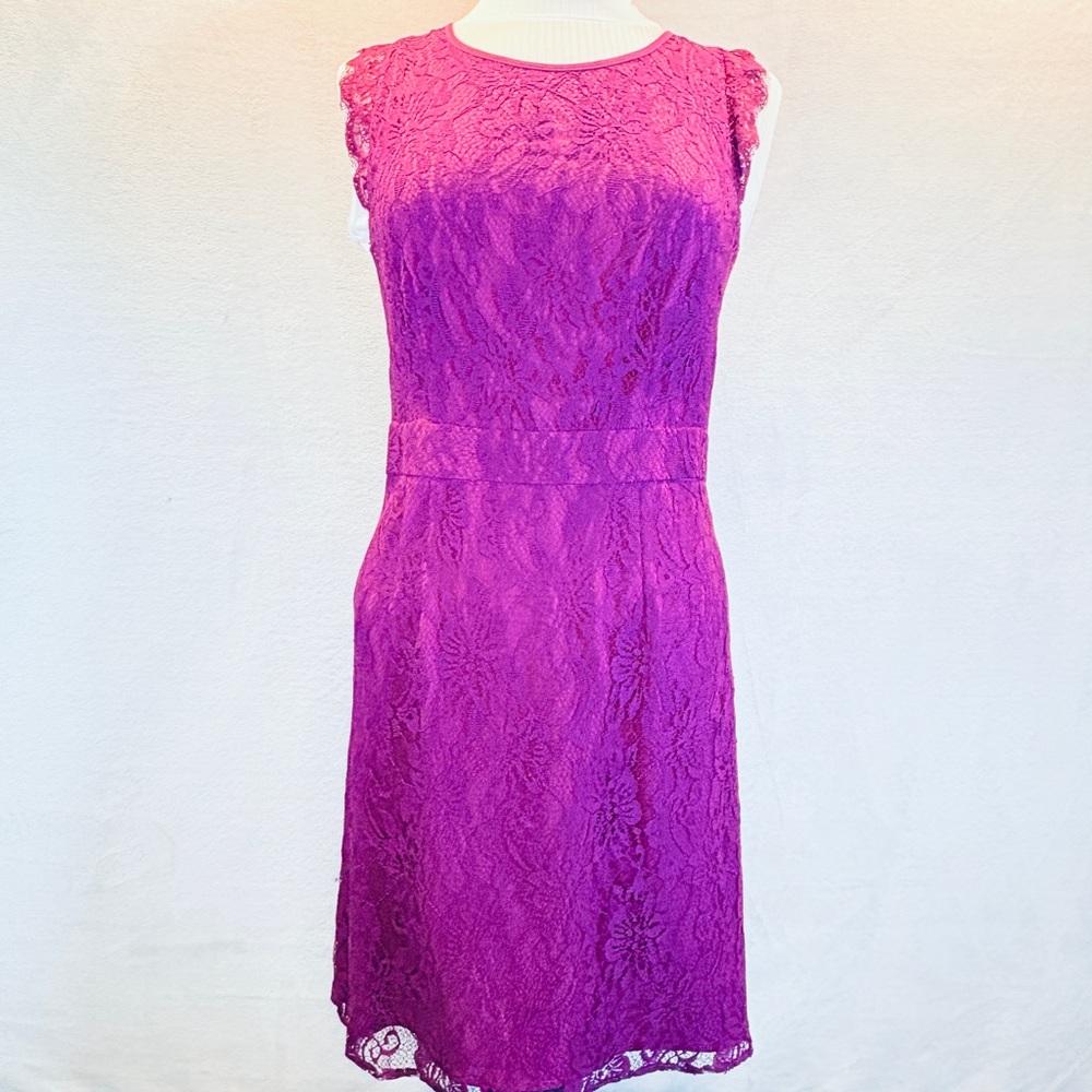 NWT Brixon Ivy Lace Dress